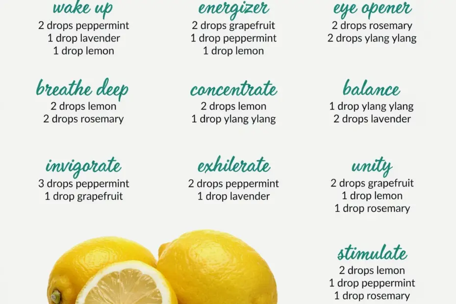 Focus Essential Oil Blends | Reduce Stress and Anxiety | DIY Diffuser Recipes for Concentration