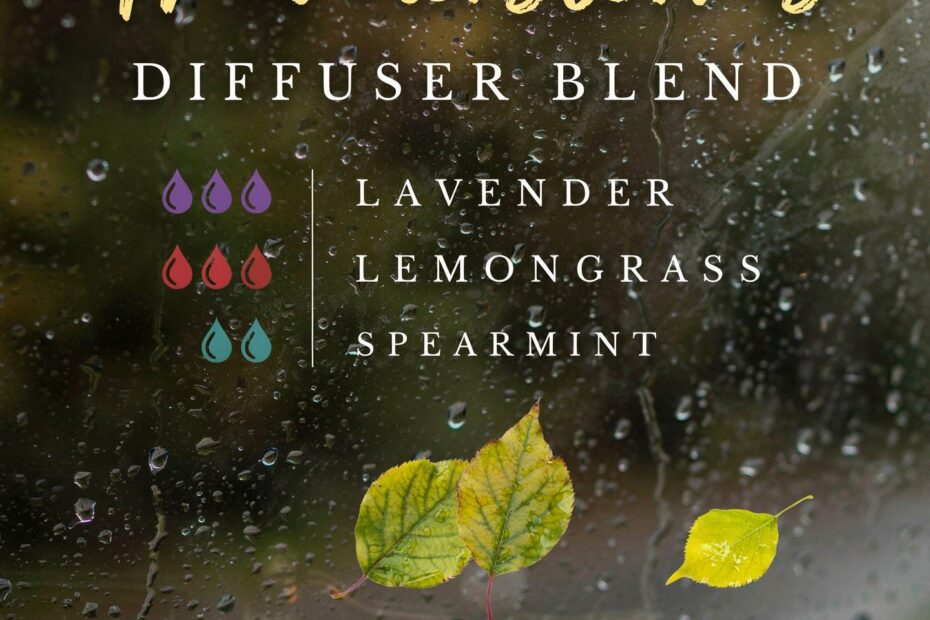 Book-Inspired Diffuser Blend | Cozy Reading Atmosphere | Afternoon Thunderstorms Aromatherapy Recipe