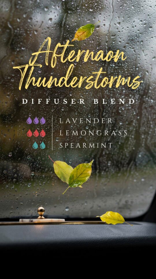 Book-Inspired Diffuser Blend Recipe | Afternoon Thunderstorms | Cozy Reading Aromatherapy