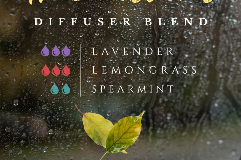 Book-Inspired Diffuser Blend Recipe | Afternoon Thunderstorms | Cozy Reading Aromatherapy