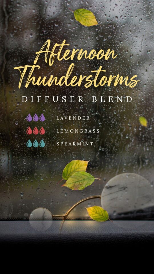 Book-Inspired Diffuser Blend | Afternoon Thunderstorms Recipe | Cozy Reading Ambiance