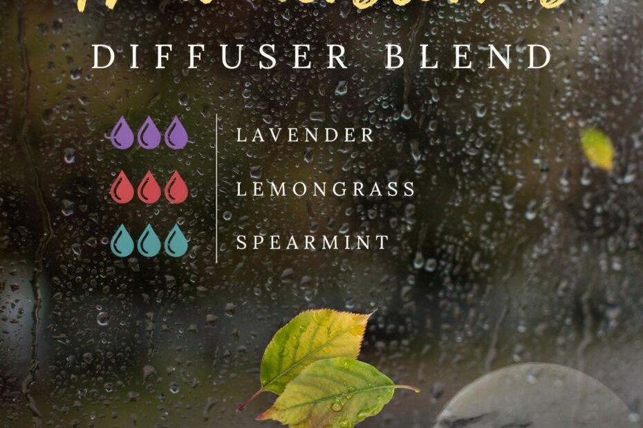 Book-Inspired Diffuser Blend | Afternoon Thunderstorms Recipe | Cozy Reading Ambiance
