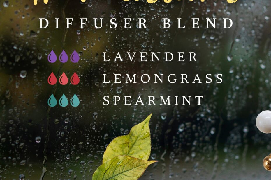 Afternoon Thunderstorms Diffuser Blend Recipe | Book-Inspired Aromatherapy | Cozy Reading Ambiance