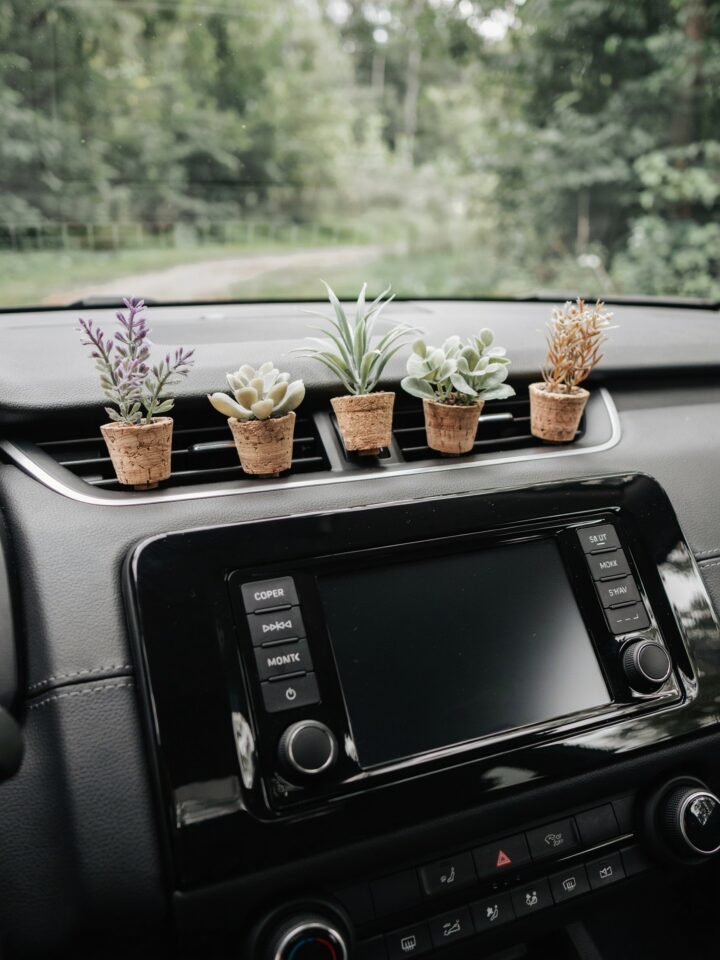 Succulent Car Air Freshener Vent Clip | Eco-Friendly Essential Oil Diffuser | Handmade Cork Plant Gift