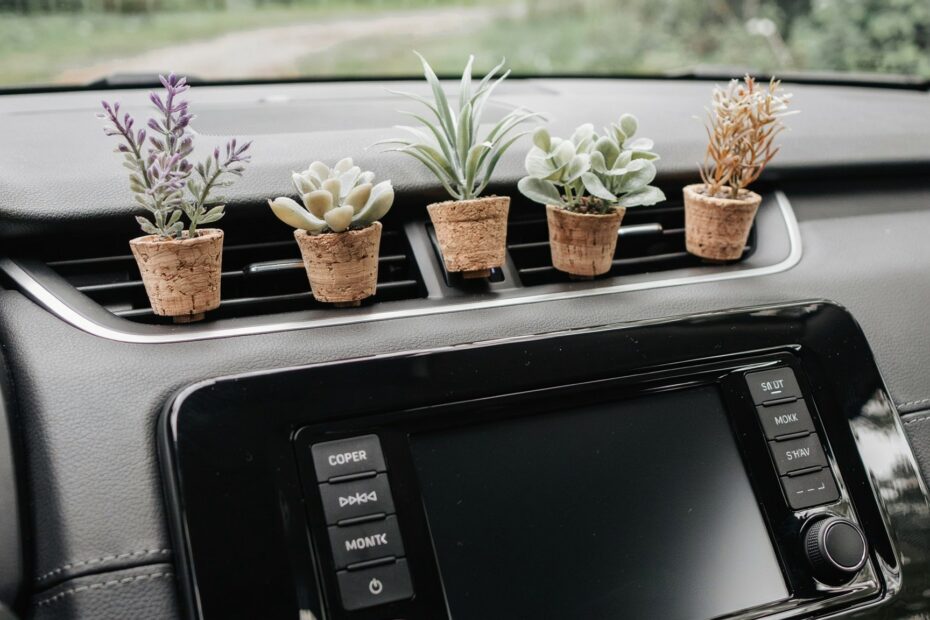 Succulent Car Air Freshener Vent Clip | Eco-Friendly Essential Oil Diffuser | Handmade Cork Plant Gift