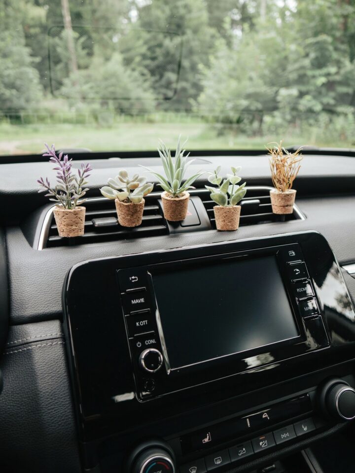 Succulent Car Air Freshener | Eco-Friendly Vent Clip Diffuser | Handmade Cork Scent Gift