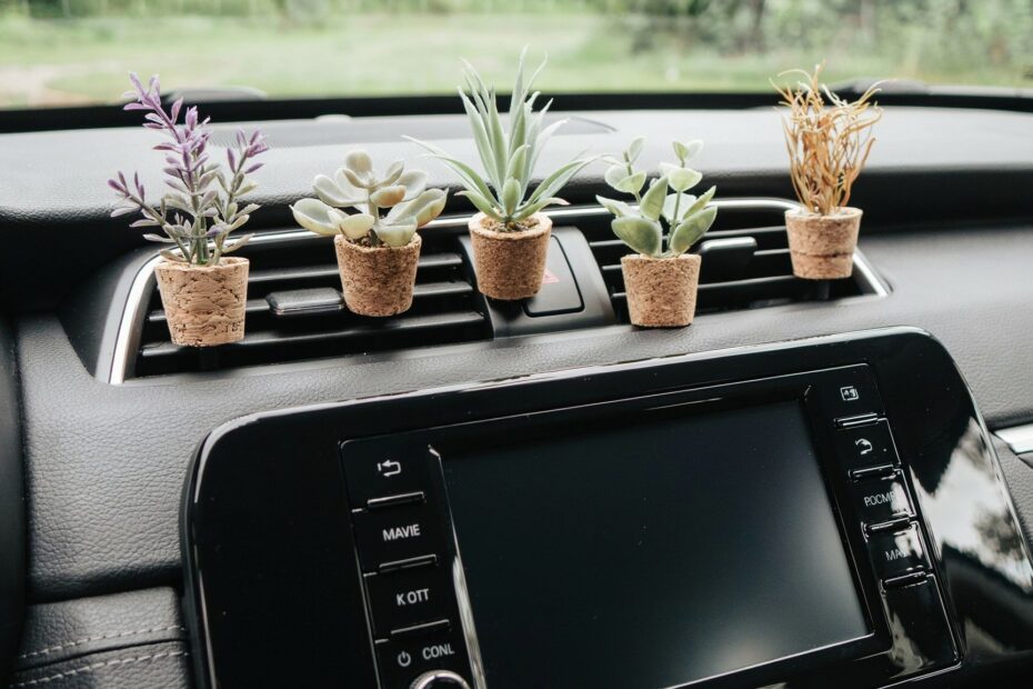 Succulent Car Air Freshener | Eco-Friendly Vent Clip Diffuser | Handmade Cork Scent Gift