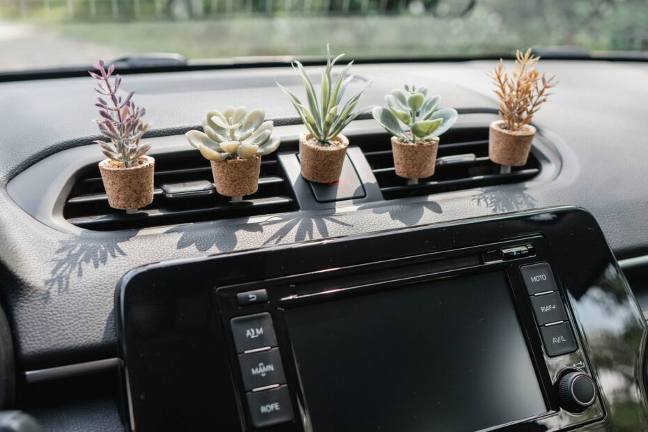 Succulent Car Air Freshener | Eco-Friendly Vent Clip Diffuser | Handmade Essential Oil Gift for Bridesmaids
