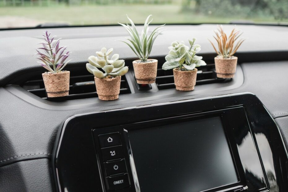 Succulent Car Air Freshener Vent Clip | Eco-Friendly Essential Oil Diffuser | Handmade Gift
